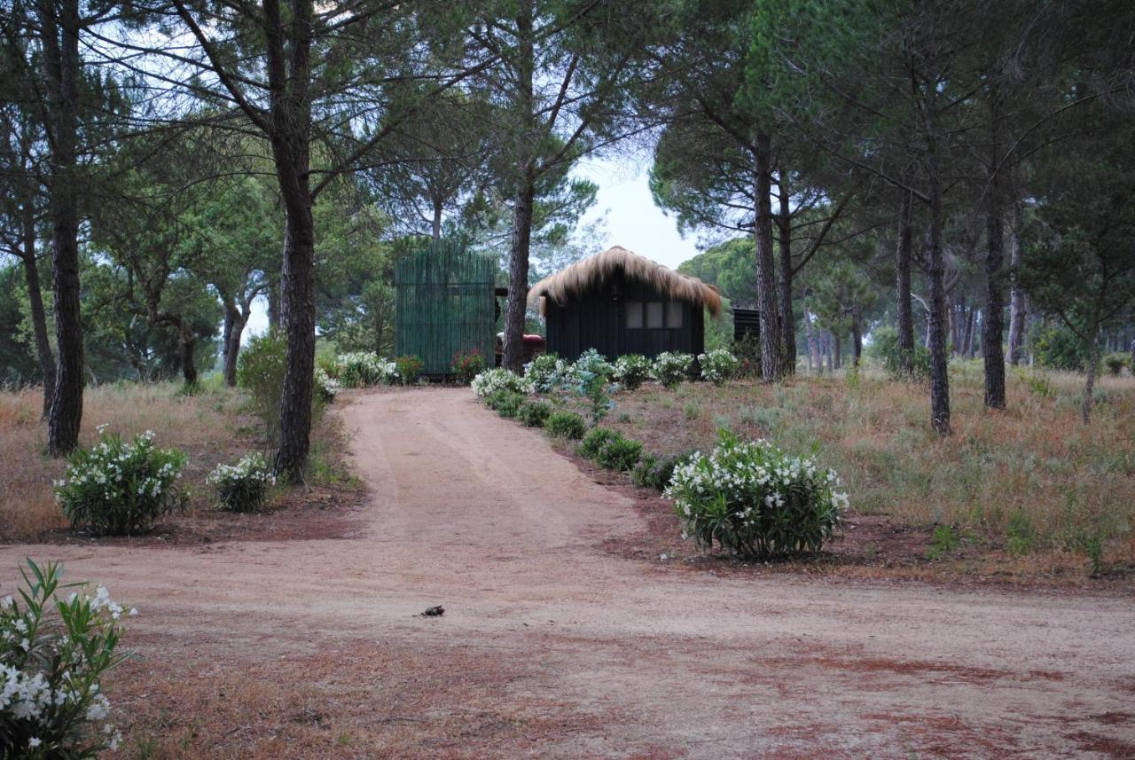 Ying Yang Monte Da Lua Villa Comporta Exterior foto