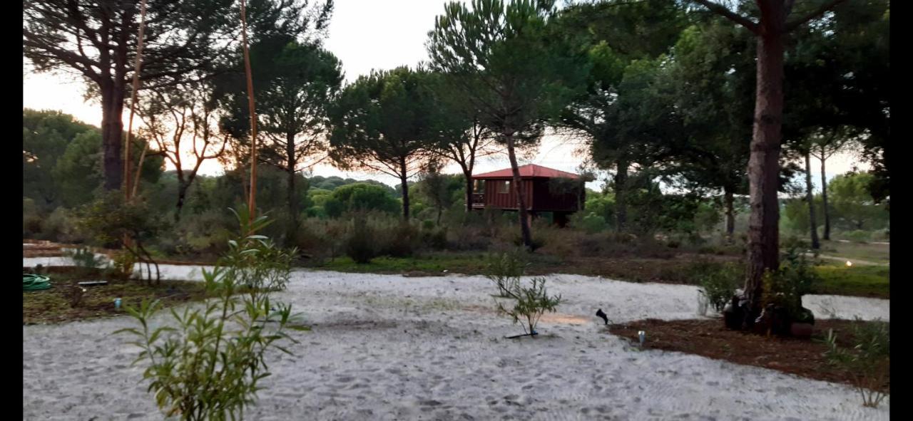 Ying Yang Monte Da Lua Villa Comporta Exterior foto